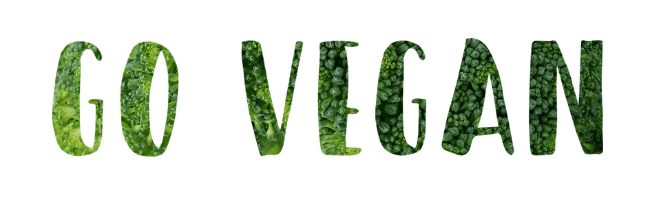 vitaminen per post vegan